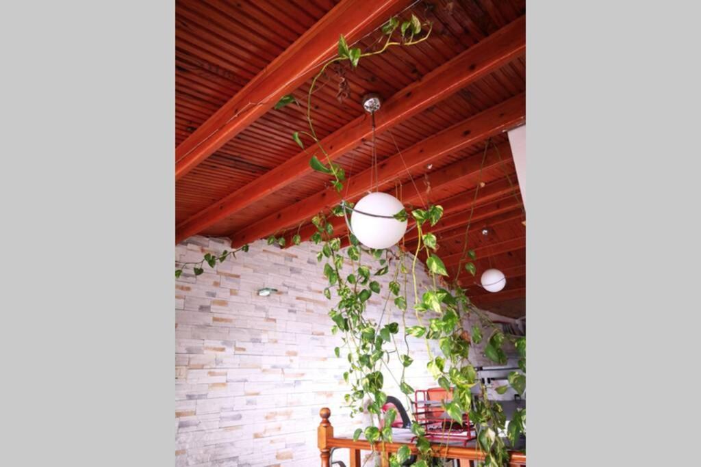 Dublex Floor Apartment Istanbul Exterior foto